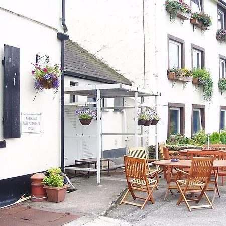 The Greyhound